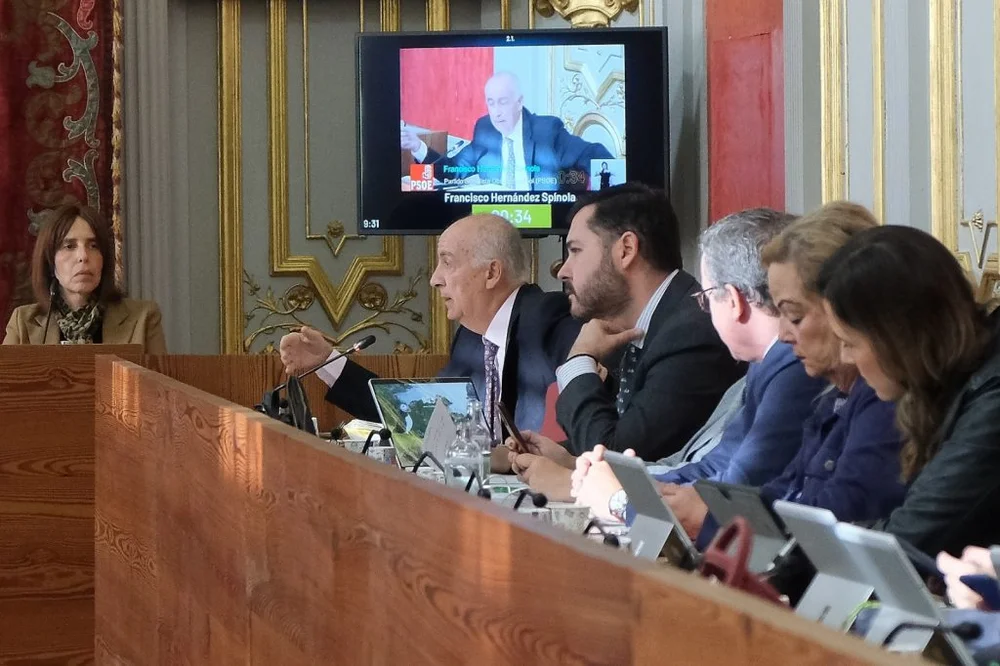 Budget Execution in Spanish Municipalities: A Comparative Analysis