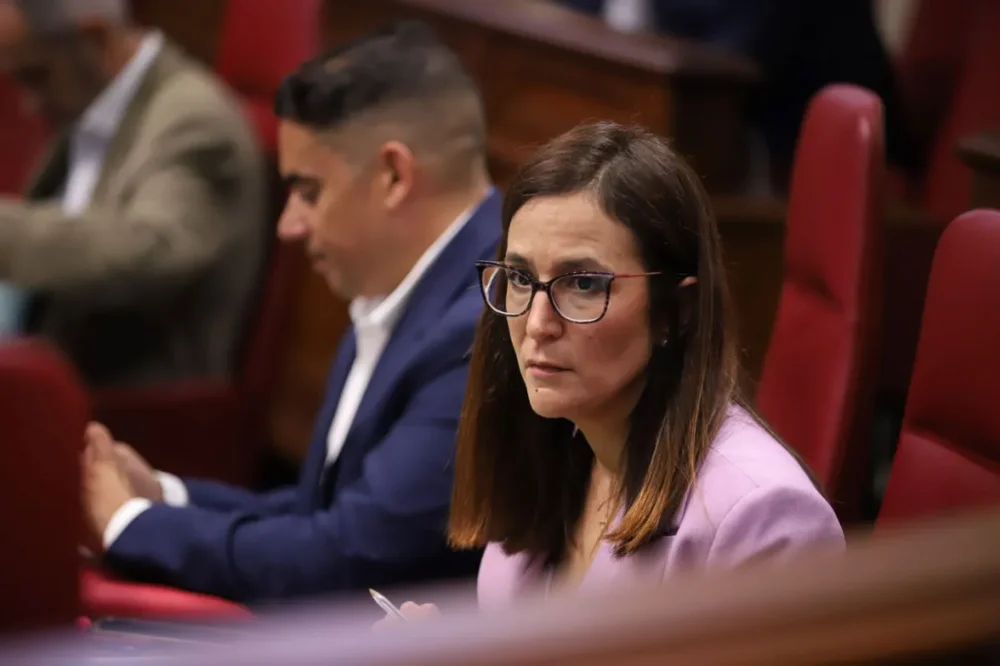 Natalia Santana: “El Gobierno de CC y el PP está fallando a las personas dependientes y a sus familias”