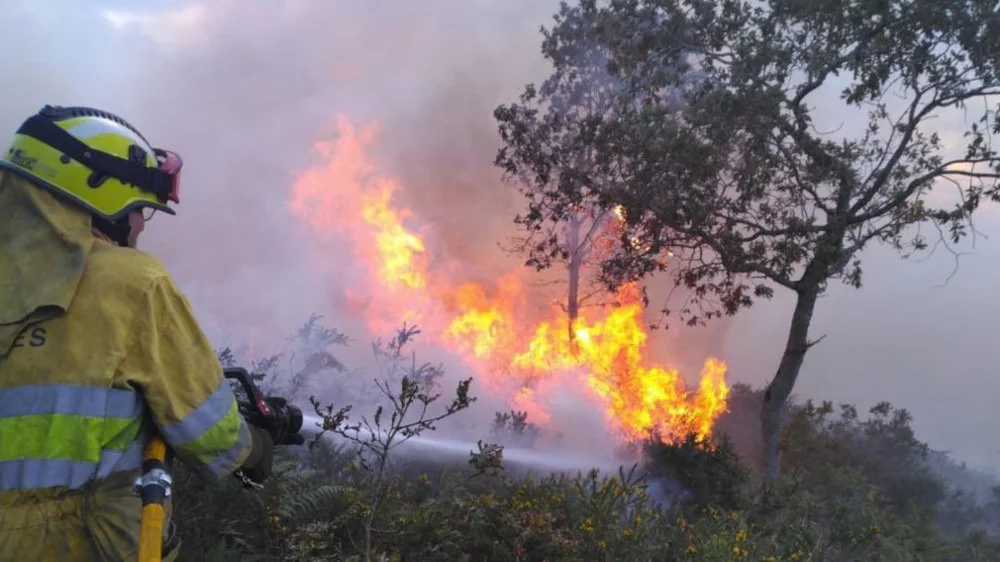 Permanecen activos dos de los 39 incendios forestales provocados este viernes