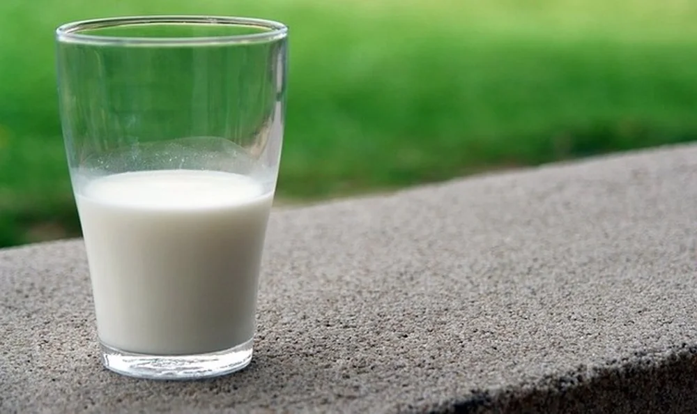 Best Supermarket Milk Chosen by OCU: A Guide for Expats in Spain