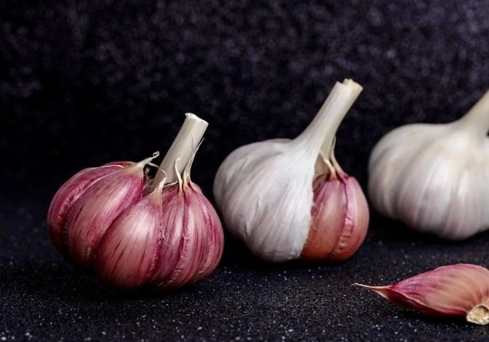 Spain Loses the Scent of Garlic: A Concerning Trend for Spanish Agriculture