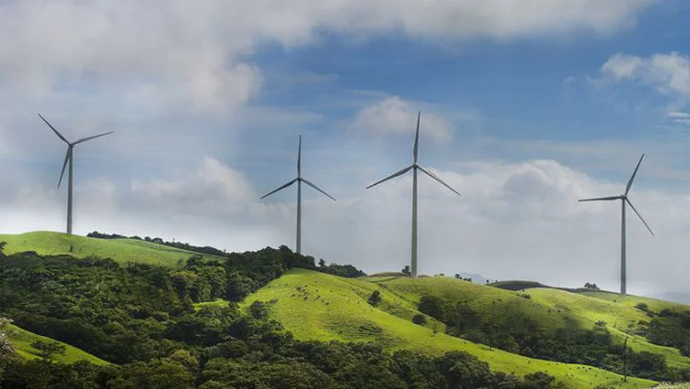 El Gobierno emite informe ambiental desfavorable para el proyecto del parque eólico Corus