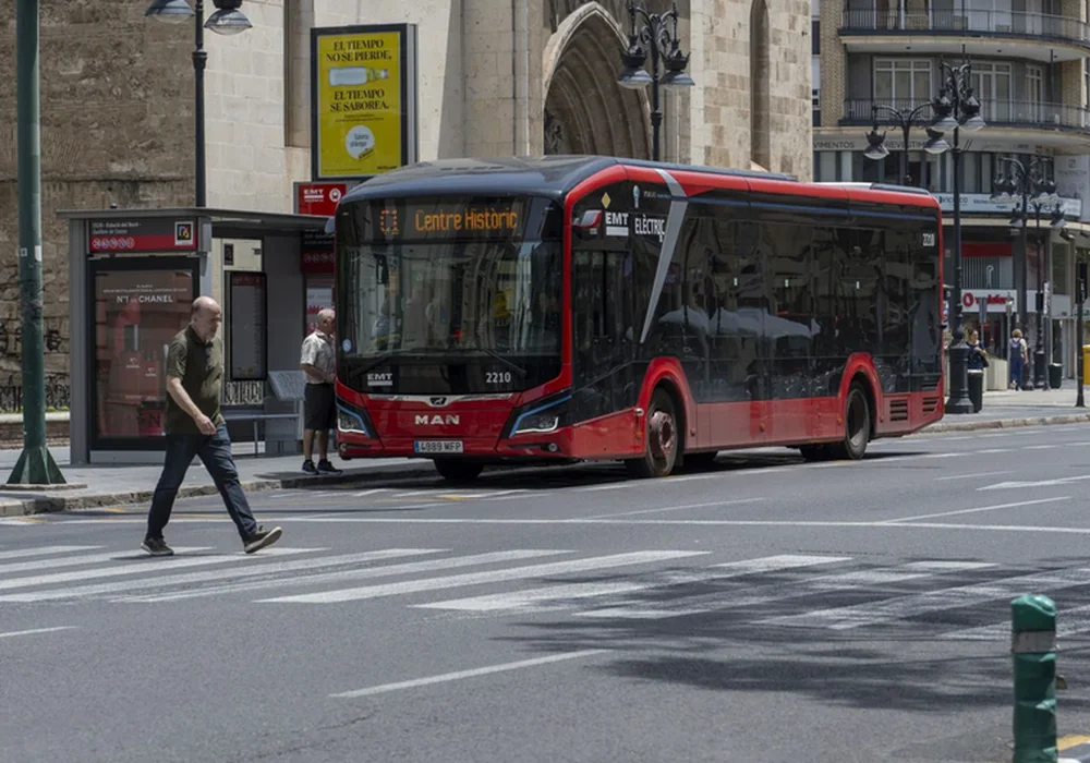 Heroic Bus Driver Intervenes to Protect Woman from Assault in Valencia