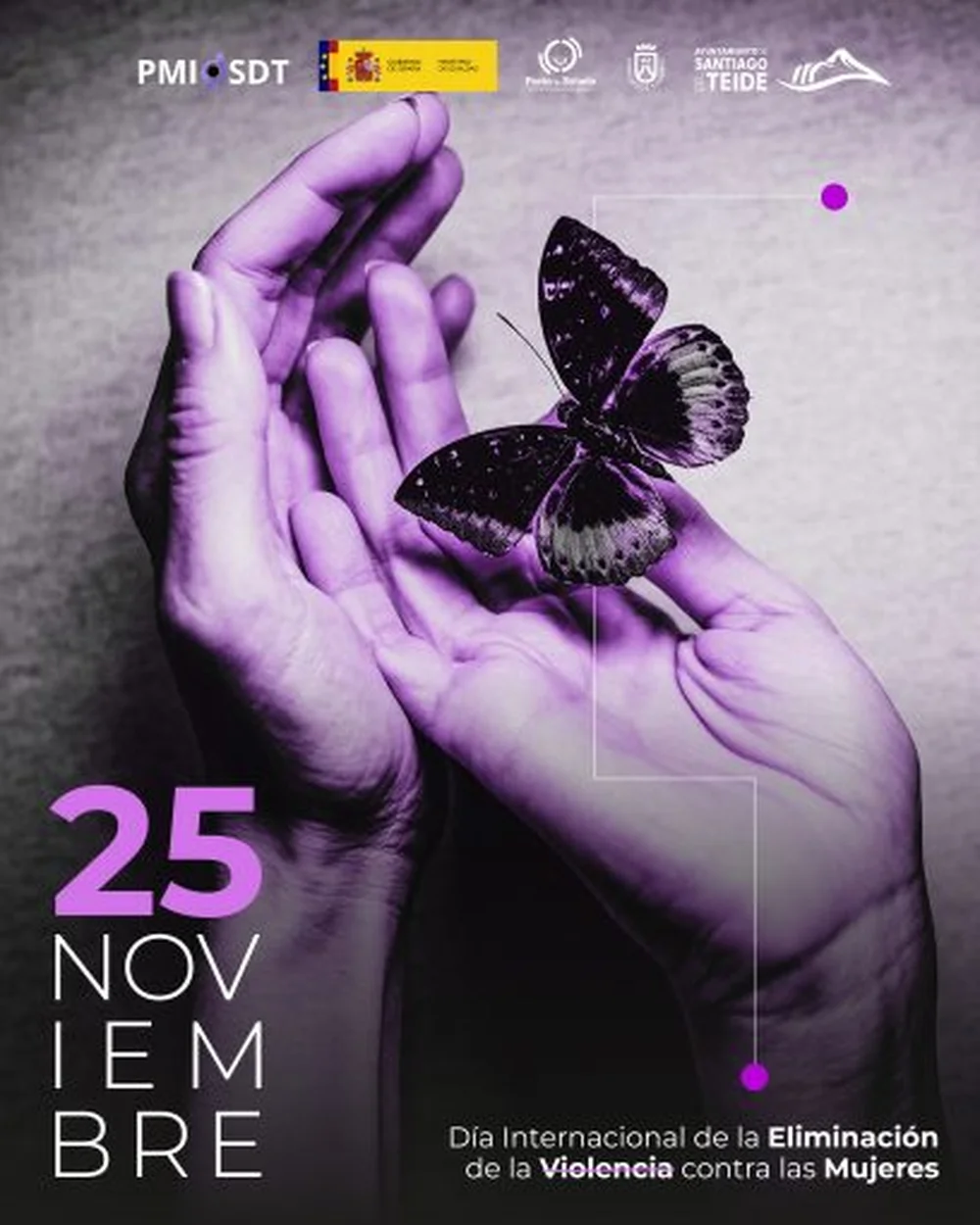 International Day for the Elimination of Violence Against Women: Canary Islands Municipality Unveils Commemorative Events