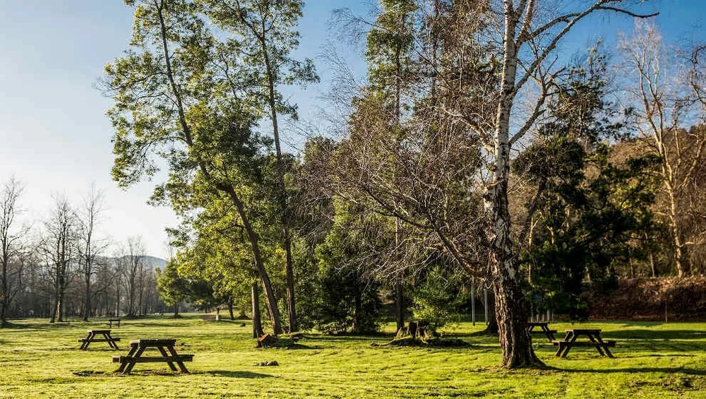 Guided Tours in Torrelavega: Explore Las Tablas and La Viesca This November