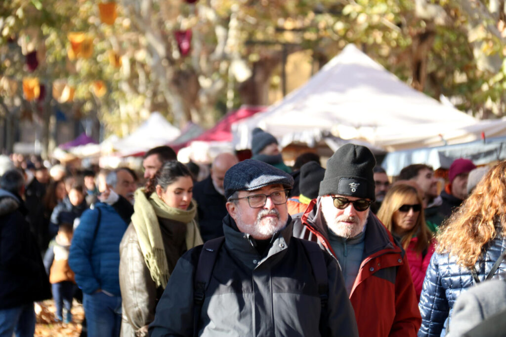 Demographic Shifts in Major Cities of the Països Catalans