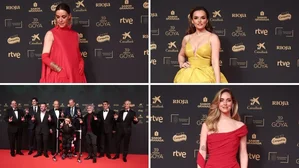 39th Goya Awards: A Night of Glamour and Celebration in Granada