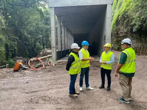 Reopening of Los Tilos Access Routes on La Palma: A New Chapter for Nature Lovers and Locals