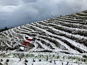 Severe Storm Brings Record Rainfall to La Palma, Spain