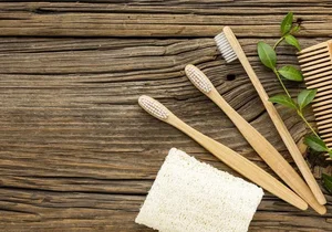 Dental Community Warns of Risks Associated with Bamboo Toothbrushes