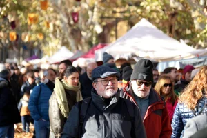 Demographic Shifts in Major Cities of the Països Catalans