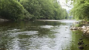 Flood Risk in Cantabria: Five Stretches of Four Rivers Under Close Observation